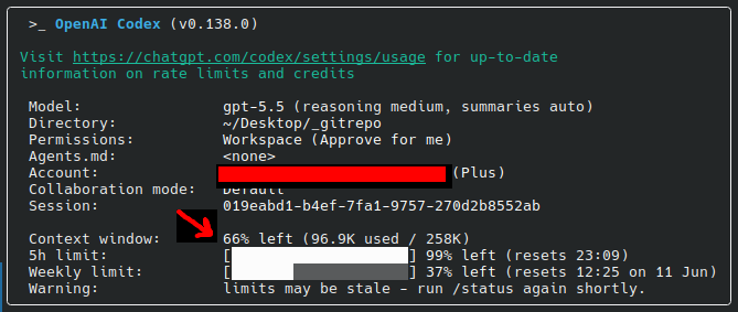 Codex's Context Window Info via /status